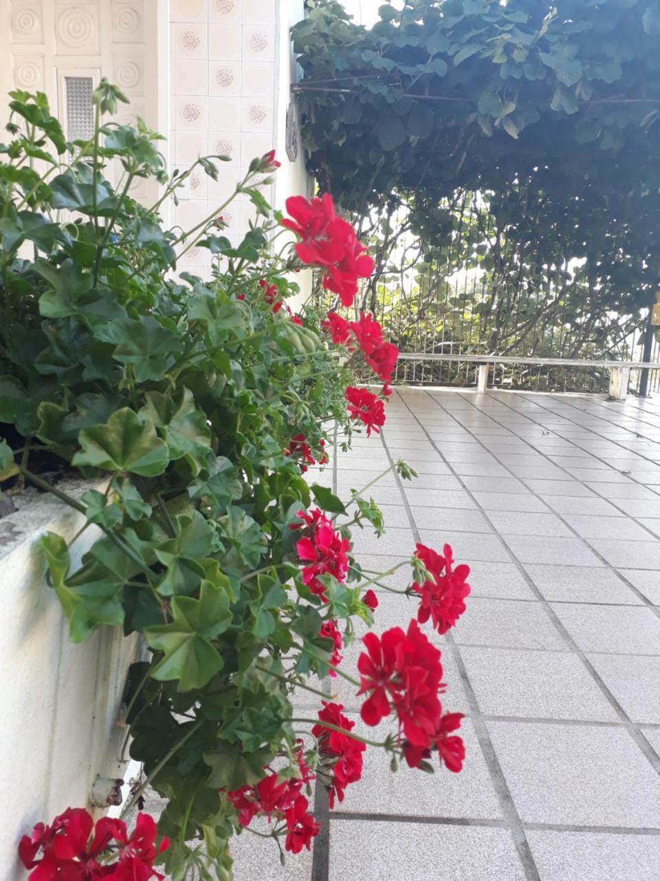 Pousada Don Marini Bento Gonçalves Exterior foto